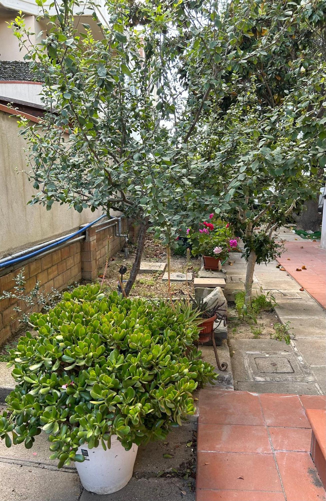 Mansamare Grosseto